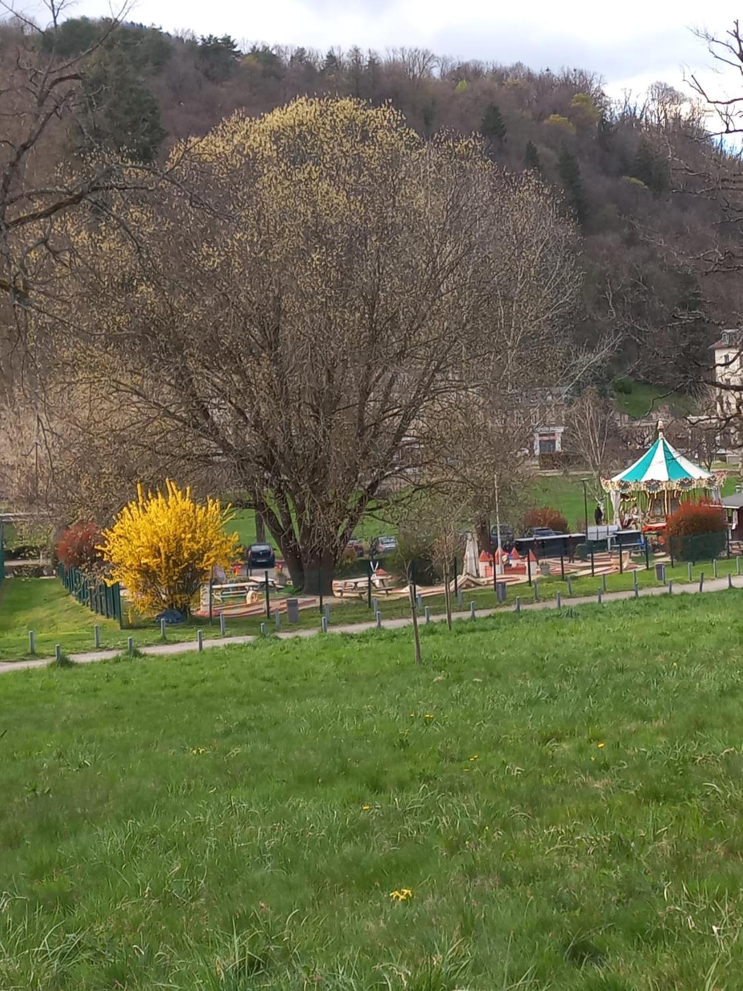 Residence Du Parc Saint-Martin-dʼUriage Екстериор снимка
